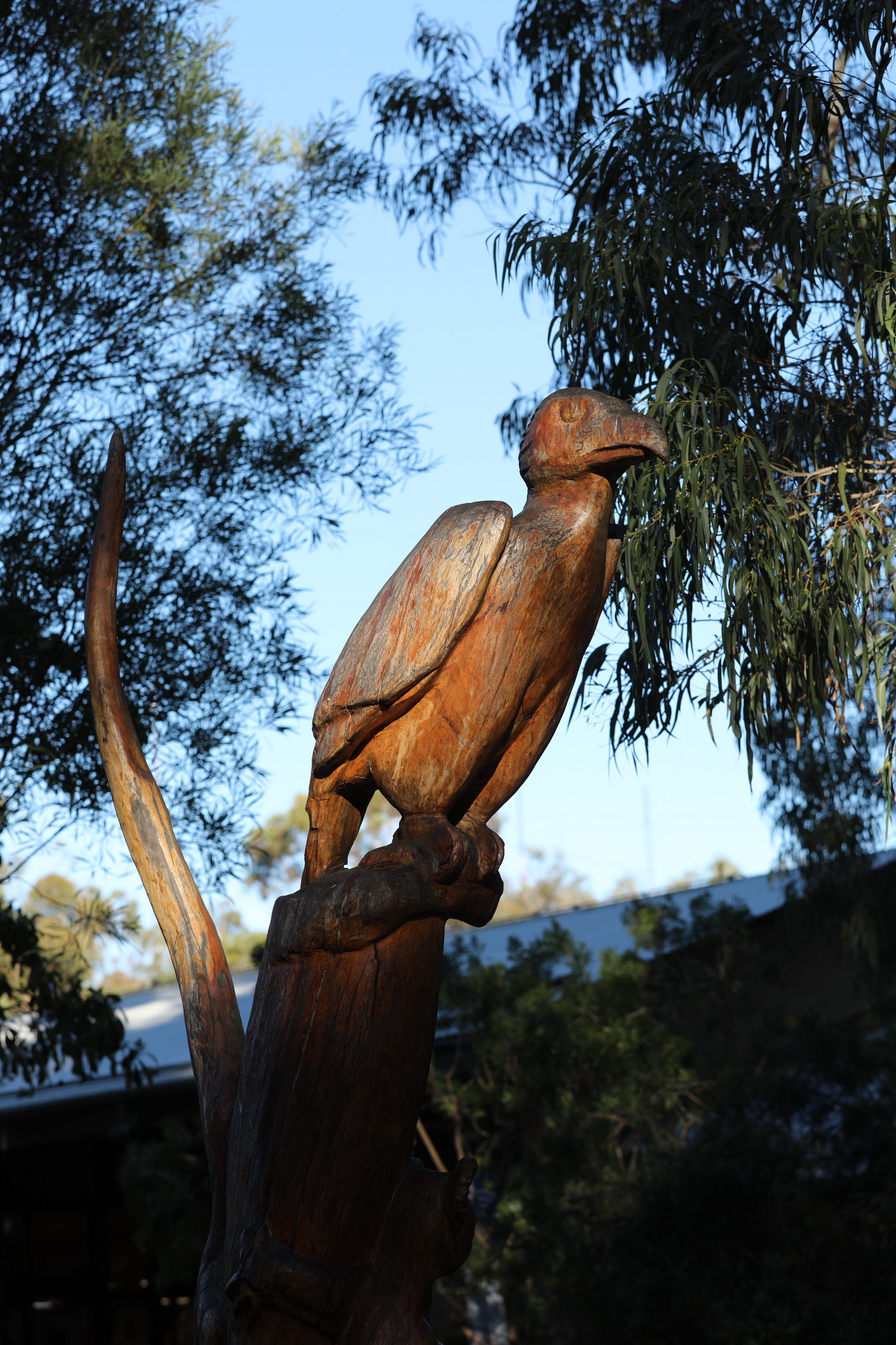 2019 07 19 15 29 13 Canon EOS 5D Mark IV 0042